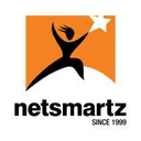 Netsmartz Infotech (India) Pvt. Ltd. logo